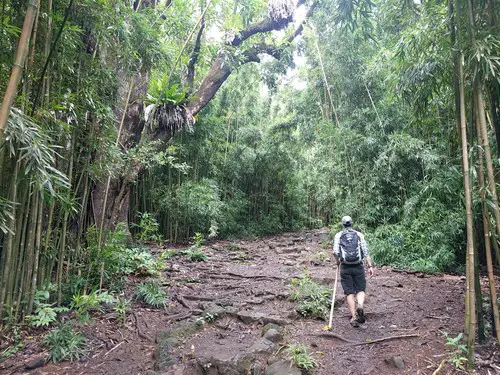 maui pipiwai trail