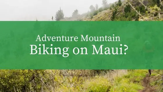Adventure Mountain Biking on Maui?