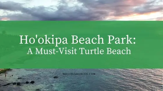 Ho’okipa Beach Park: A Must-Visit Destination on the Island of Maui