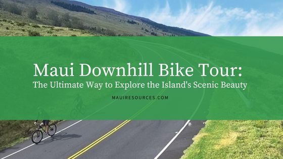 Maui Downhill Bike Tour: The Ultimate Way to Explore the Island’s Scenic Beauty