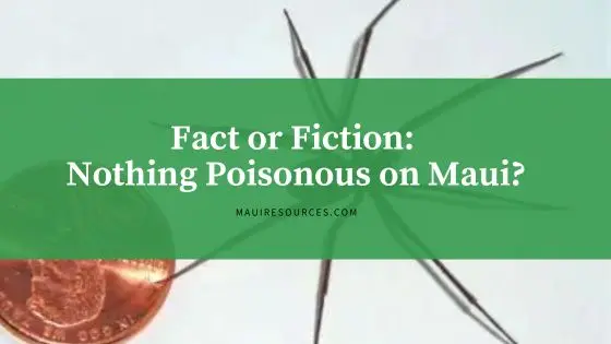 Fact or Fiction: Nothing Poisonous on Maui?