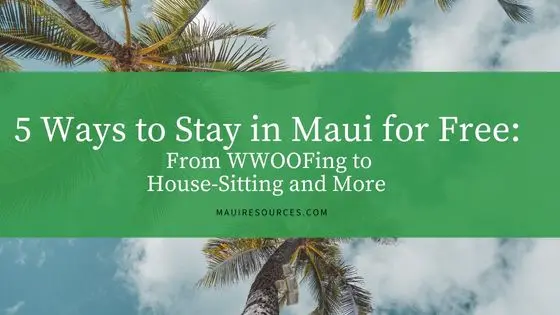5 Ways to Stay in Maui for Free: From WWOOFing to House-Sitting and More