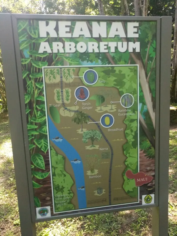 Keanae Arboretum map