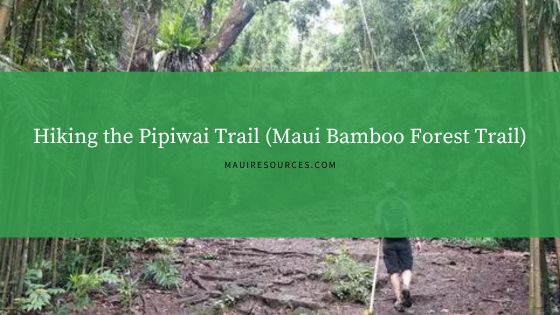 Hiking the Pipiwai Trail (Maui Bamboo Forest Trail)