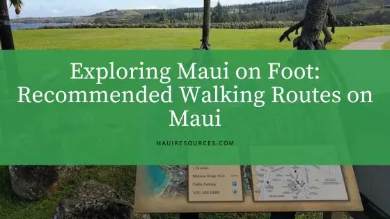 Exploring Maui on Foot: Recommended Walking Routes on Maui