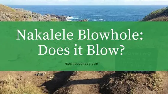 Nakalele Blowhole: Does it Blow?